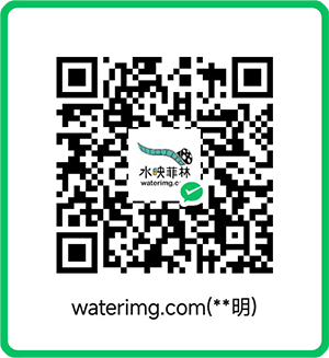 赞赏支持